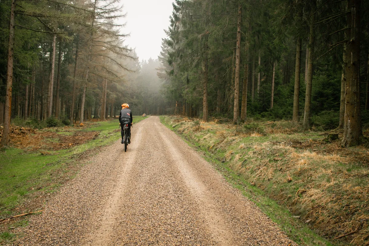 Fietser op een gravelweg door een naaldbos in de ochtendmist