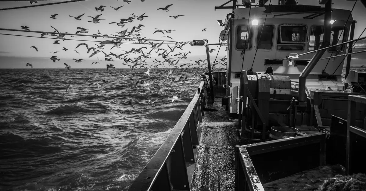 Visser aan het werk op een kotter met meeuwen boven het water, zwart-wit