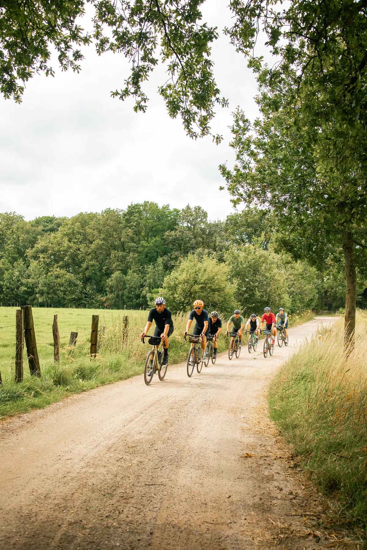 Groepje wielrenners op een smalle landweg tussen de weilanden