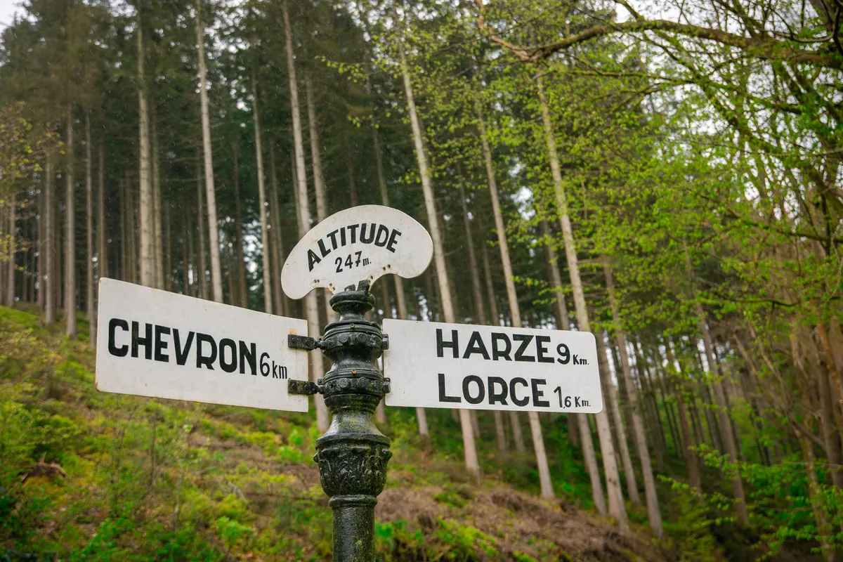Wegwijzer in de Ardennen tussen de bomen